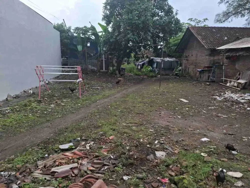 Jual cepat tanah pekarangan lingkungan nyaman dan tenang