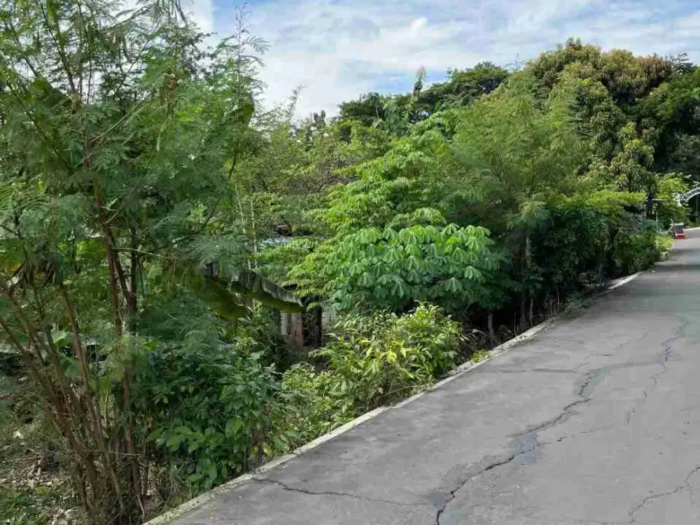 Tanah Strategis Murah Luas Tepi Jalan Raya Solo Gemolong