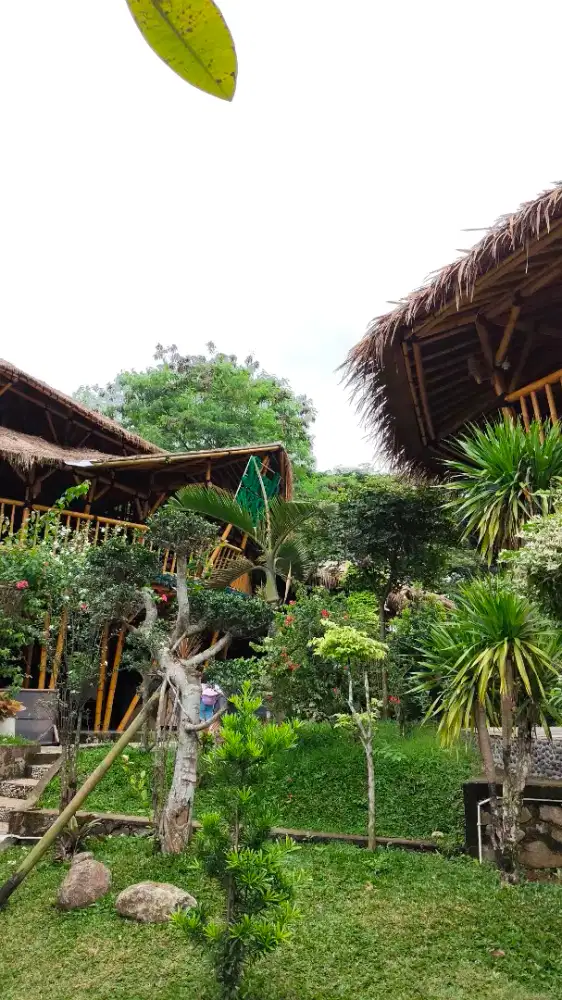 Butuh ledis untuk di spa dan ktv