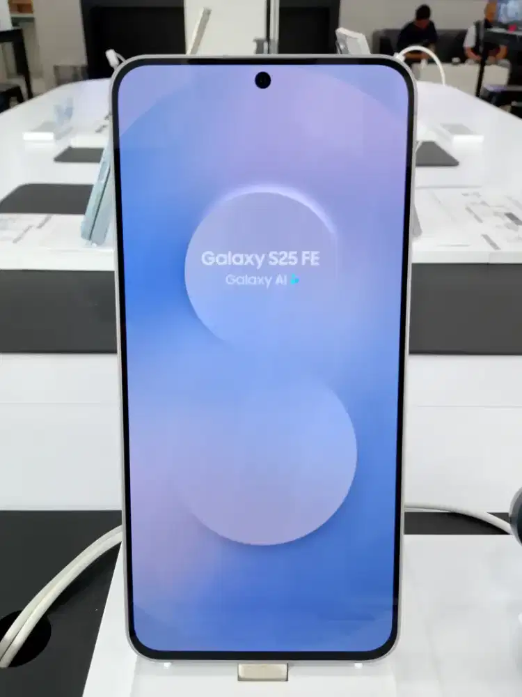 Samsung Galaxy S25 FE