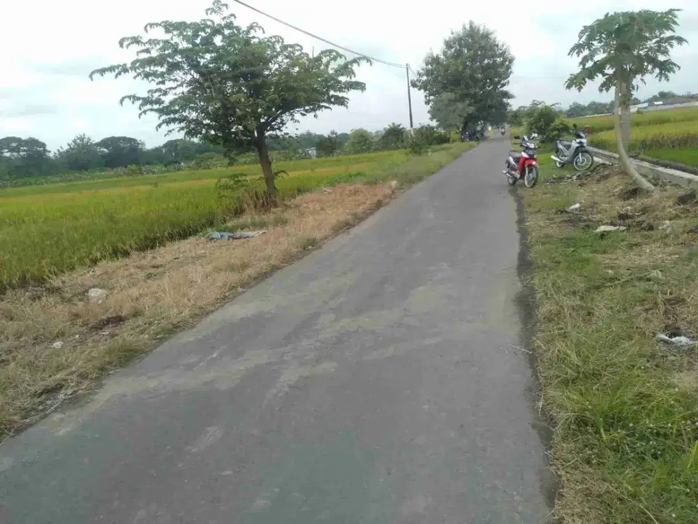 Dijual sawah di gawok sukoharjo
