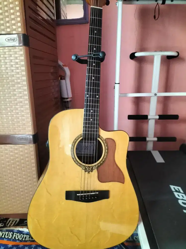 Gitar transkustik deluxe DW 110G