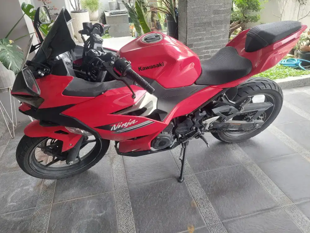 Kawasaki Ninja 250 2023 LOW KM