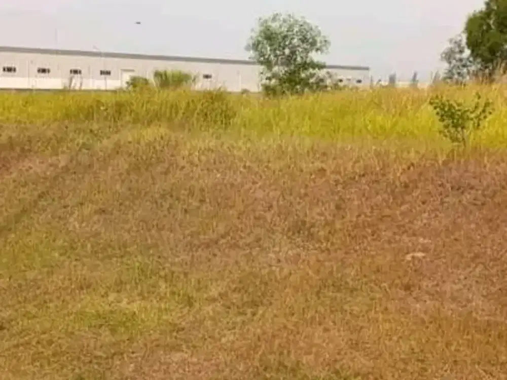 Murah !! DIJUAL TANAH DI KAWASAN INDUSTRI DELTA SILICON CIKARANG MINIMAL PEMBELIAN 10 HA