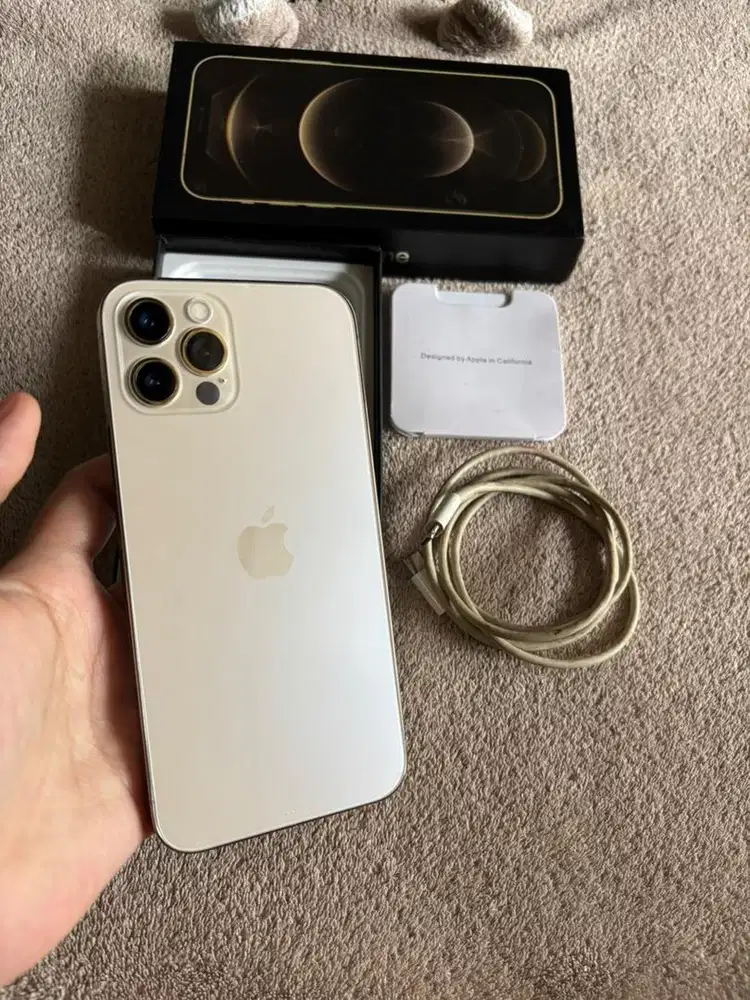 IPHONE 12 PRO 256GB MULUS NOMINES