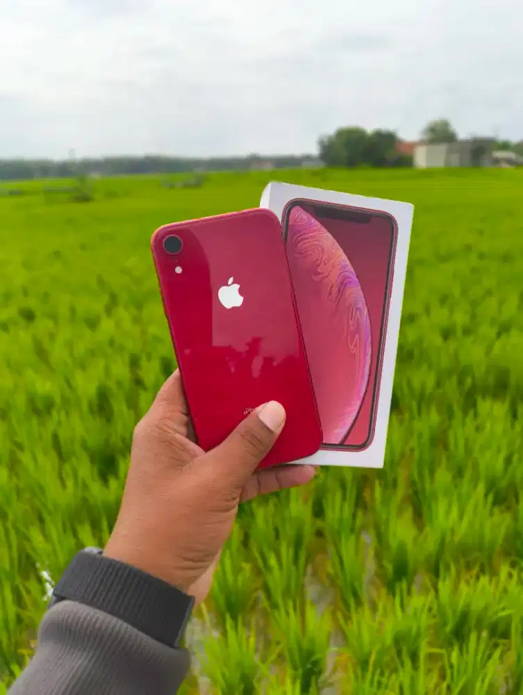 iPhone X 256GB Beacukai