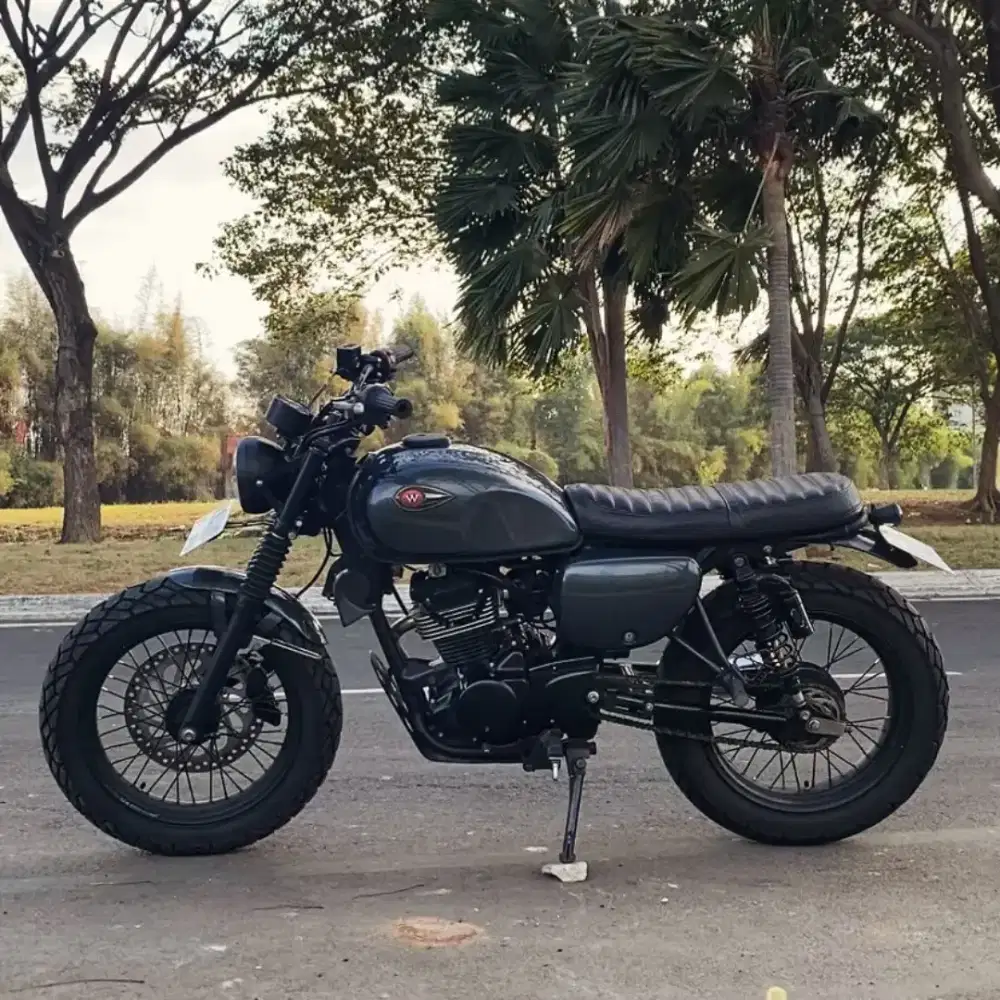 Kawasaki w175 2018