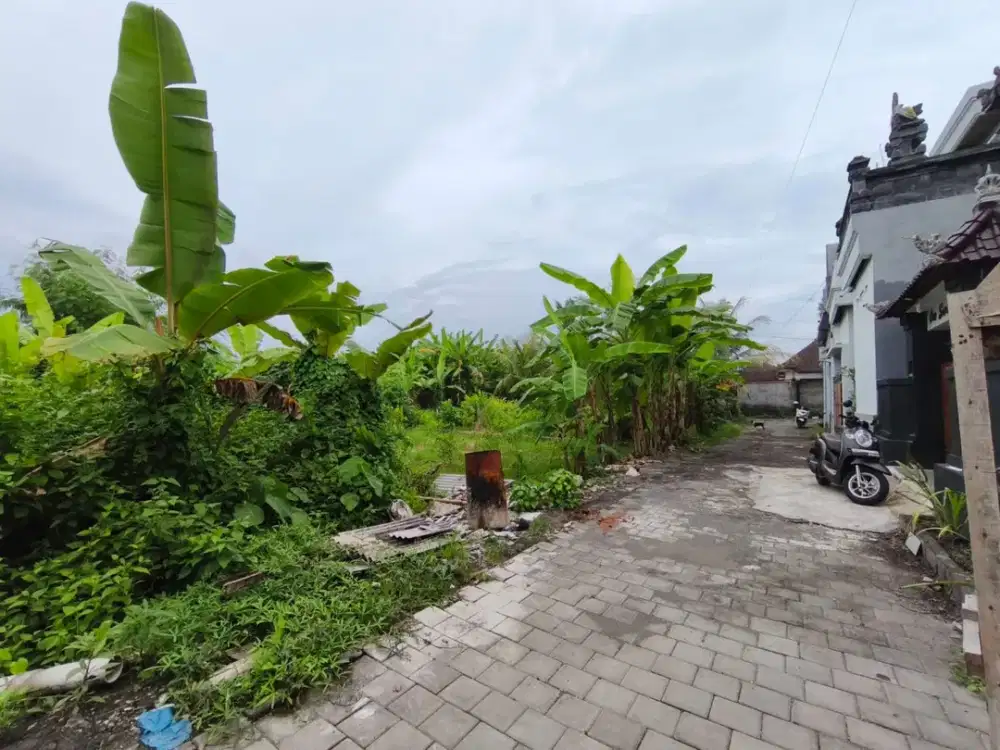 Dijual Tanah Kavling Lokasi Tenang View Sawah di Jl. Siyut, Tulikup, Gianyar.