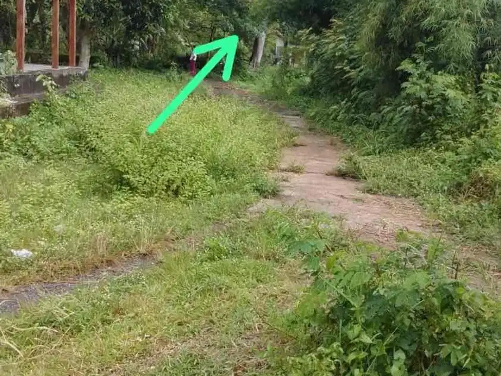 Dijual Tanah Luas atau di Sewa Pinggir Sungai di Kawasan Pleret Bantul Yogyakarta