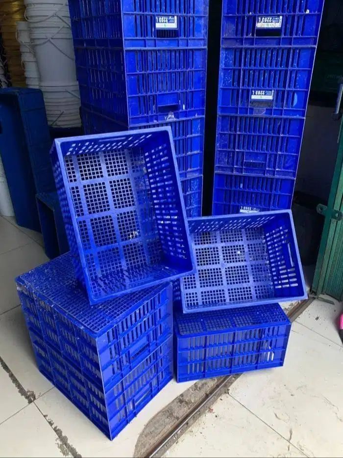 keranjang buah keoerluan MBG tipe 2203L bc