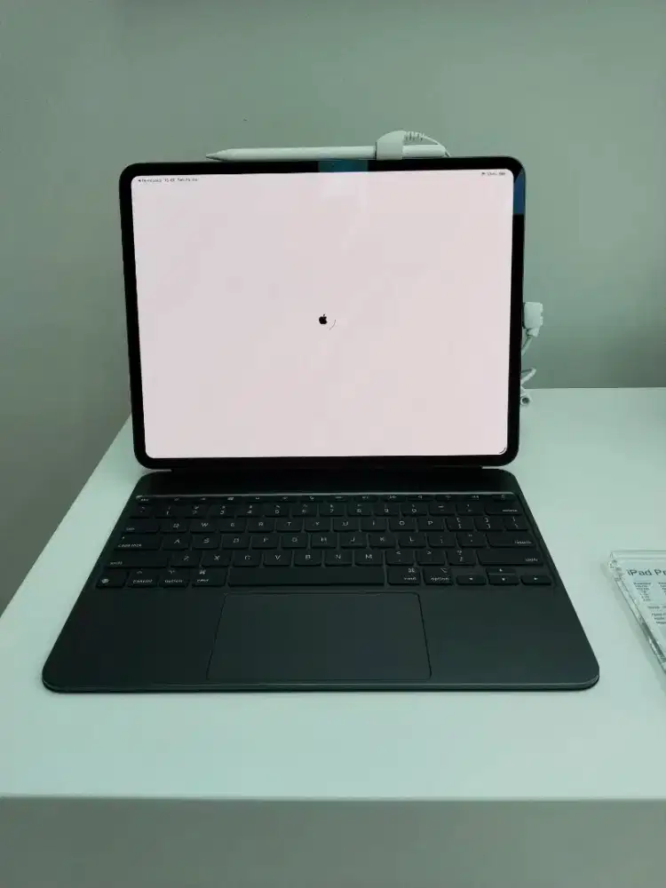 iPad Pro 13 inci internal 256GB (Wi-Fi Only)