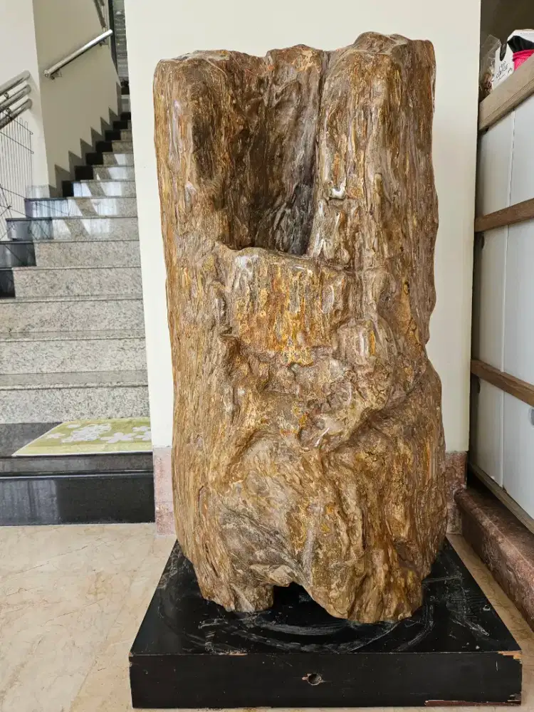 Batu Fossil Ratusan Tahun