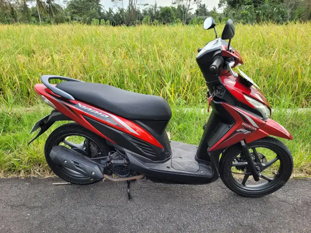 Vario 110 2016 (pajak + plat baru)