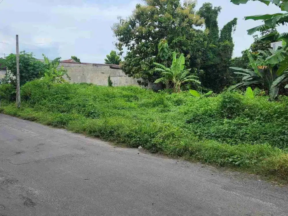 Tanah Pekarangan Strategis Dekat Resto dan Homestay