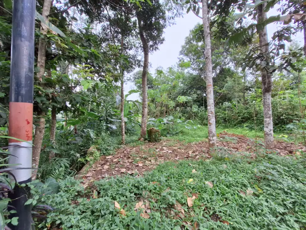 Disewakan tanah strategis di Cianjur Selatan