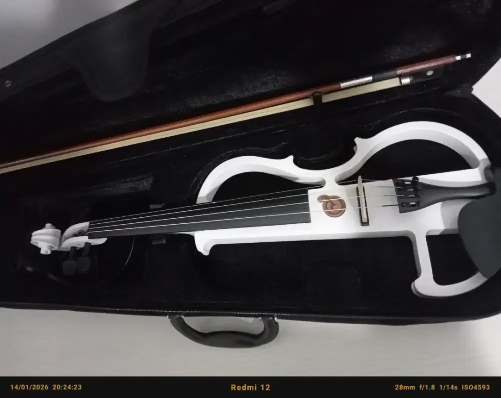 Biola elektrik mandalika like neww