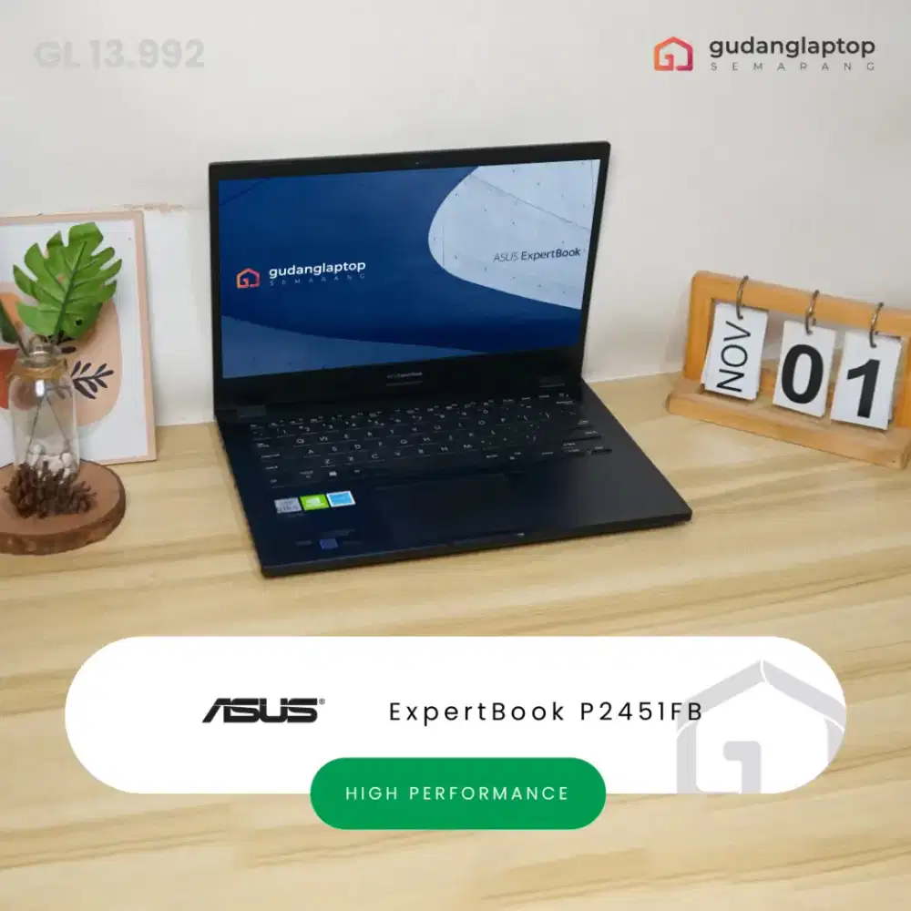 ASUS ExpertBook P2451FB INTEL Core i5 - 10210U 8GB/128GB/1TB MX110