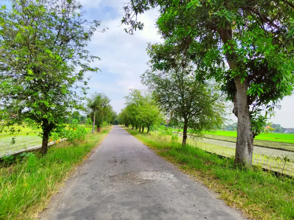 TANAH MURAH MADIUN DEKAT PINTU TOL MADIUN RECOMMENDED HUNIAN/USAHA/INVESTASI