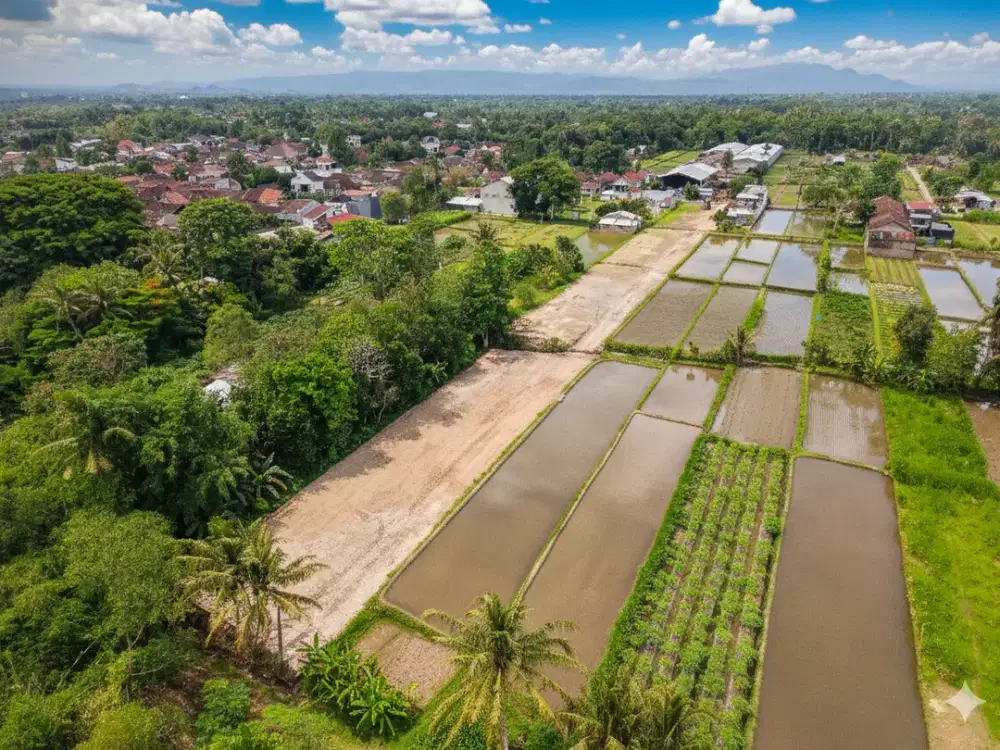 Tanah kavling Investasi Aman! Tanah SHM Pekarangan Sleman Tepi Jl Pandowoharjo