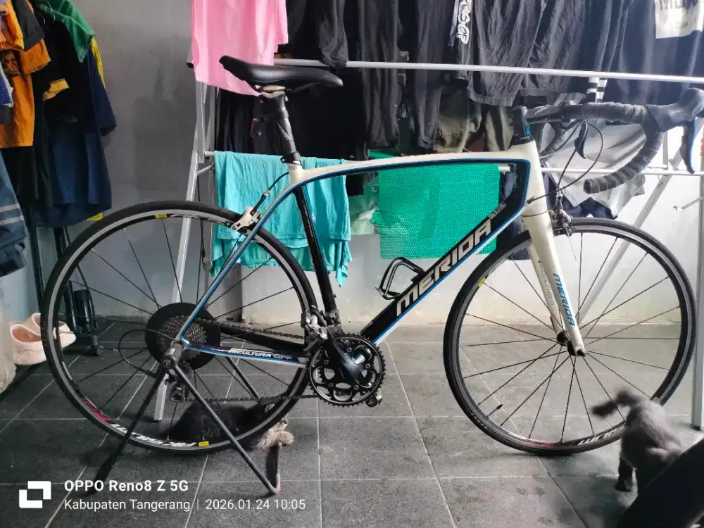 Sepedah roadbike