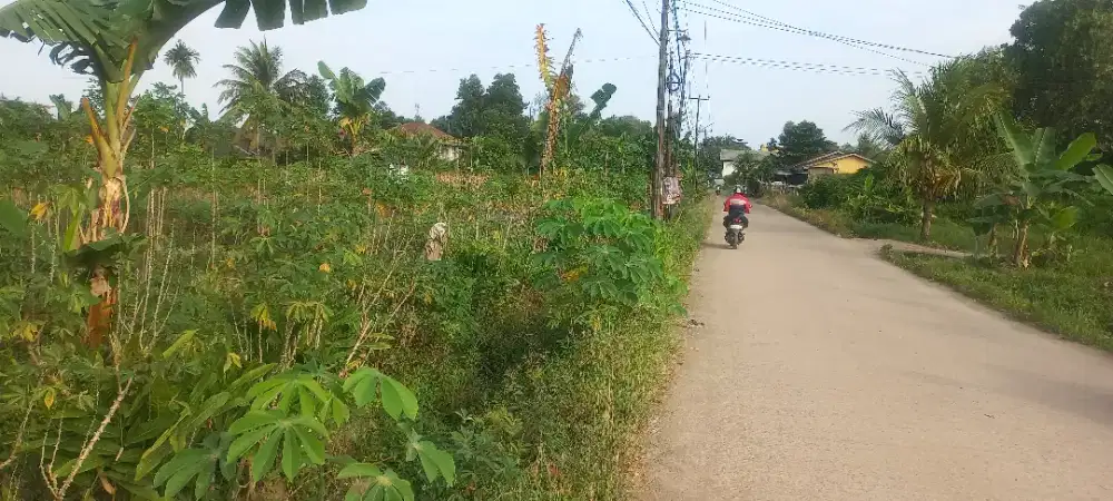 Dijual tanah kaplingan di jalan srigading km.14 palembang