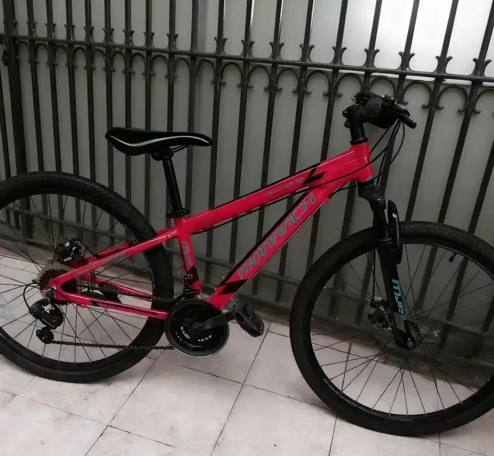 Sepeda gunung MTB polygon mj alumunium