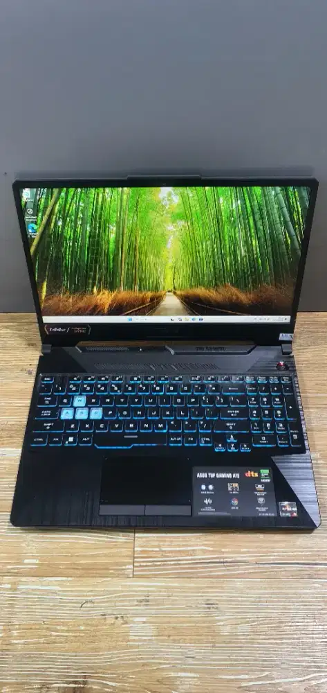 Asus tuf gaming fa506n