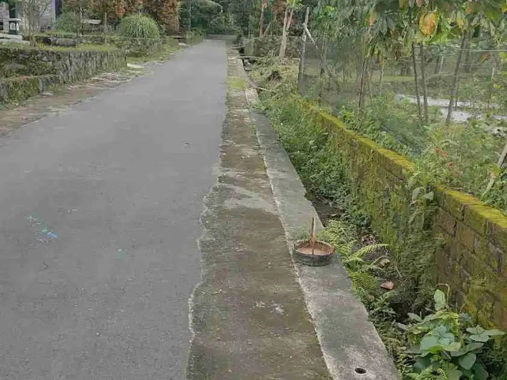 DIJUAL TANAH LUAS – KEMALANG, KLATEN | SUASANA TENANG & ASRI