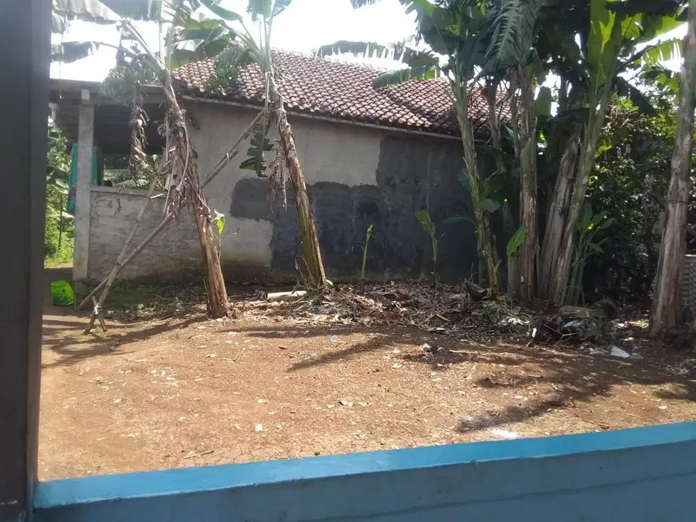 JUAL TANAH DI CILEBUT LOKASI STRATEGIS (BISA NEGO)