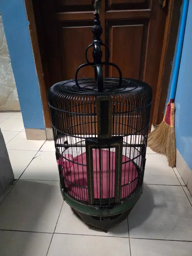 Sangkar Wambi atau Anis bagus