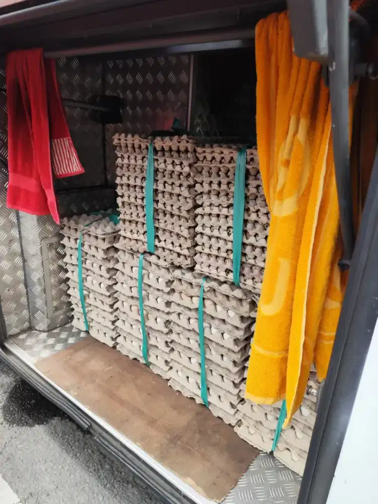 Lowongan kurir telur