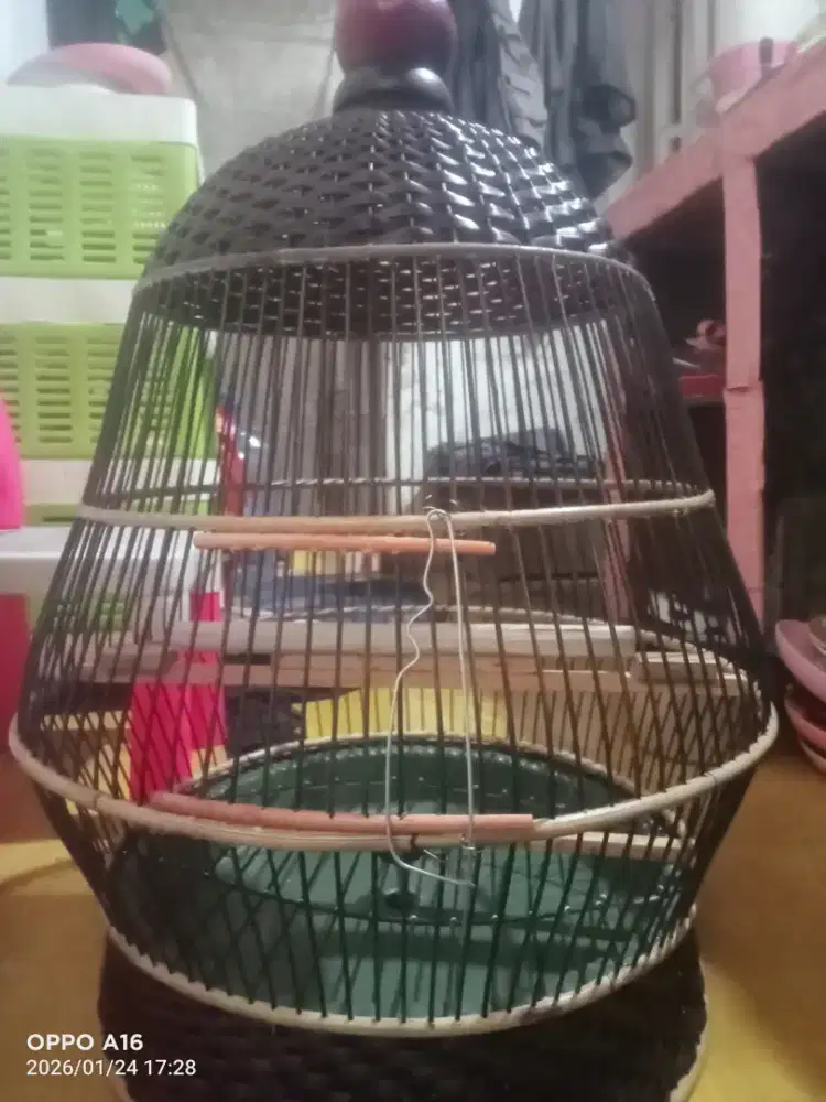 Sangkar perkutut baru tebok copot bawah mur