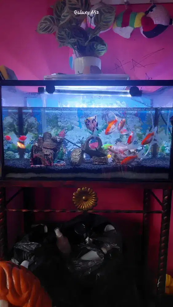 1 set Aquarium 60x30