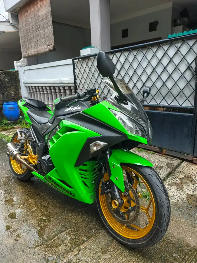 Kawasaki Ninja Fi 2013