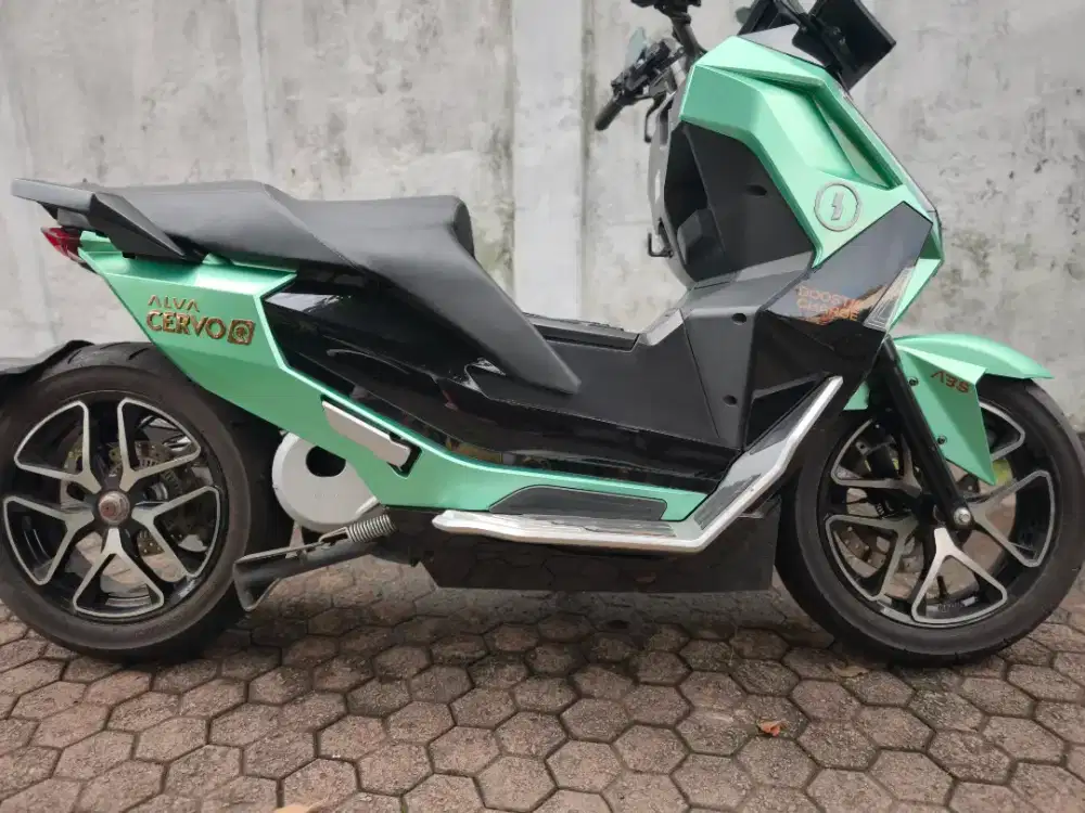 Alva cervo q abs 2025