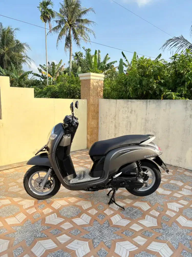 Scoopy pajak plat hidup panjang siap pakek nominus