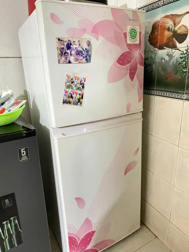 Kulkas 2 pintu bekas