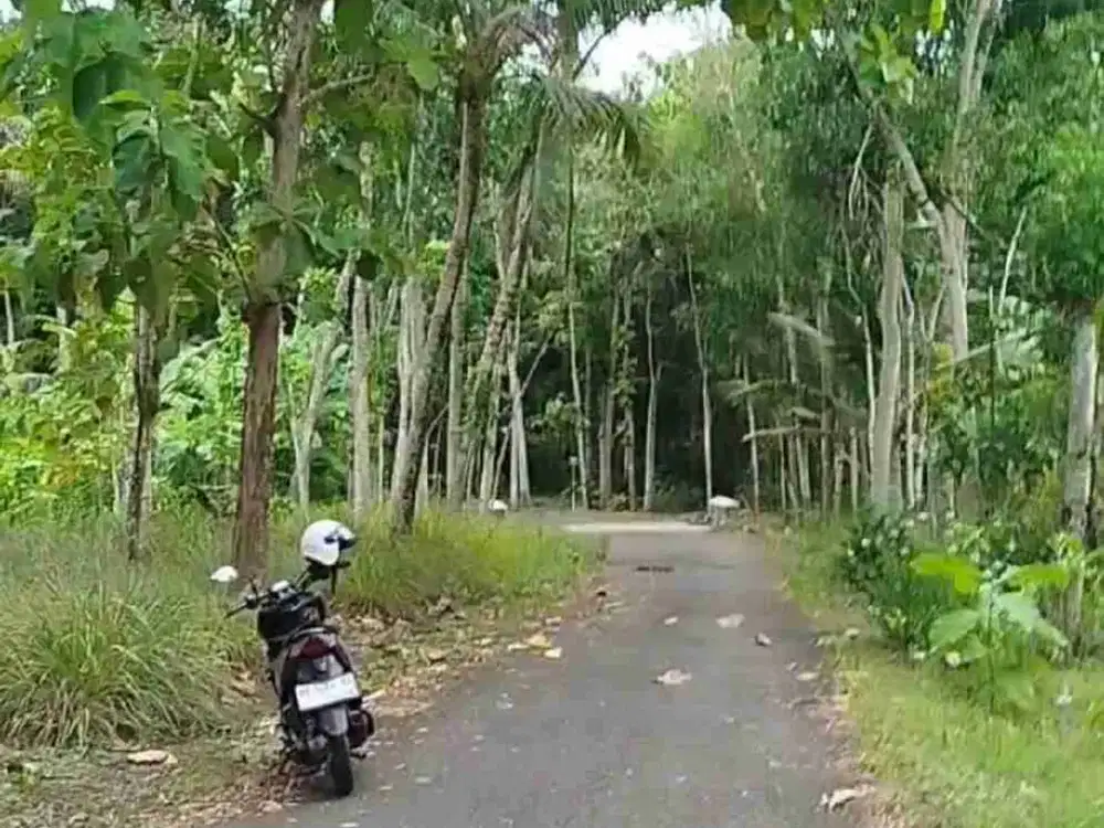 Tanah Murah dekat Polres Kulon Progo