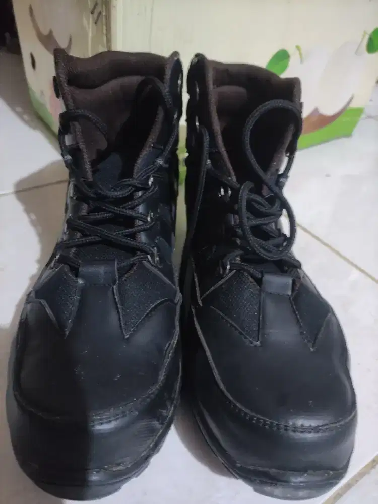 Crocodile non ori uk 43 besar