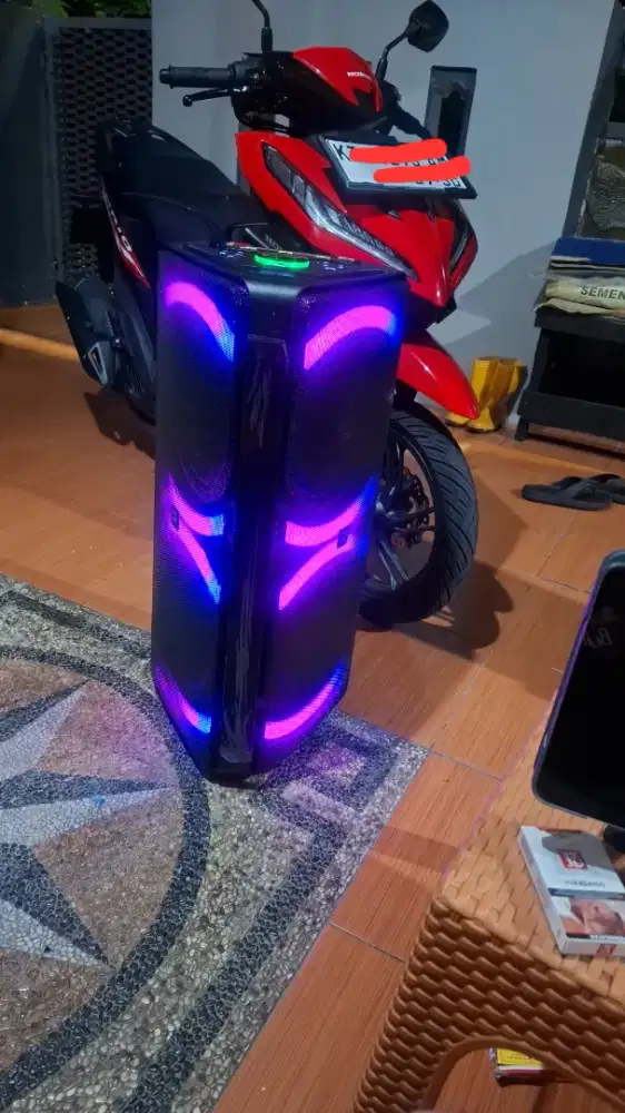 SPEAKER ROOMI TRIANGLE 10 INCH