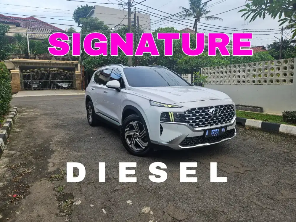 CASH hyundai SANTA FE signature diesel 2022 at mulus terawat