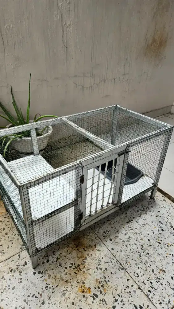 Kandang Kucing Bekas Ukuran Sedang