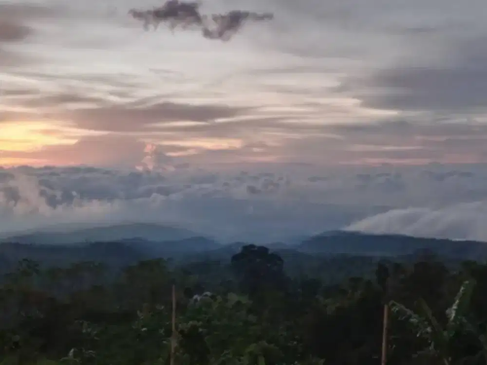 Tanah view gunung dan lembah dekat Villa Alpha Gesing Munduk