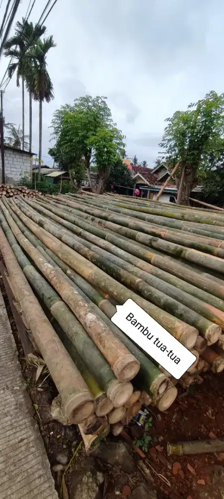 bambu esteger / bambu tunjang cor / bambu proyek