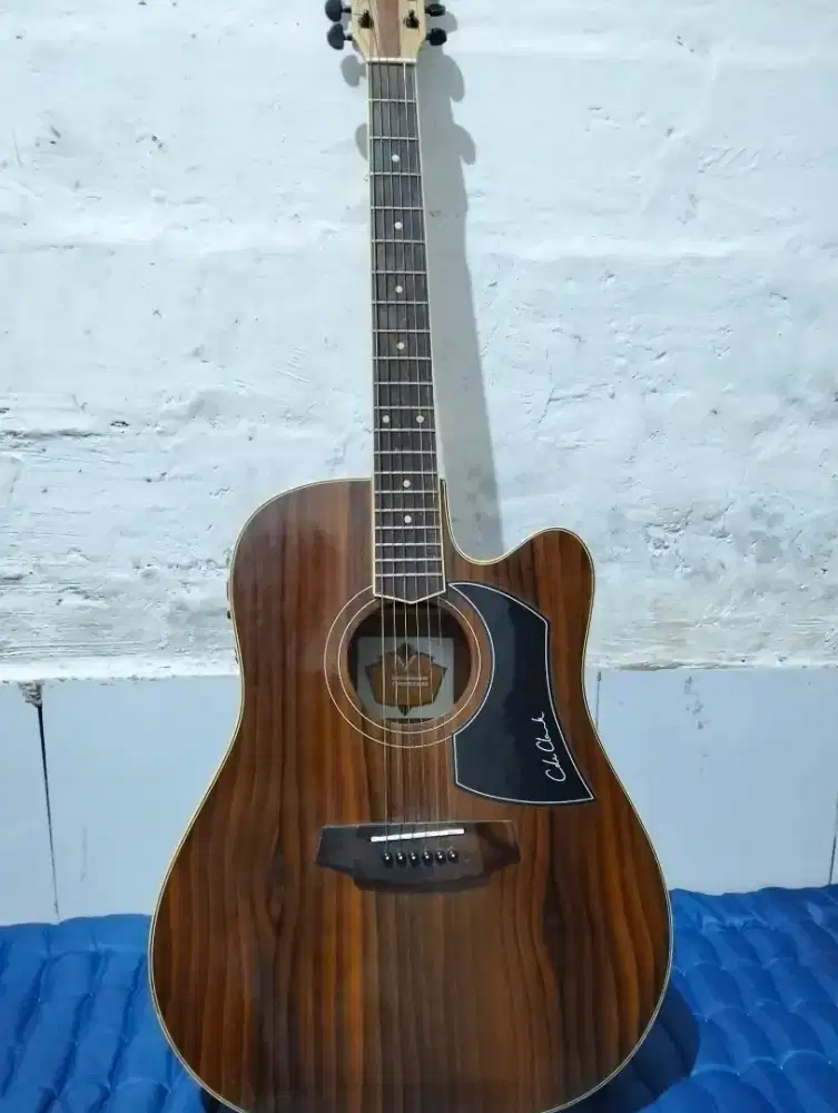 Gitar Coklat Cole Electric