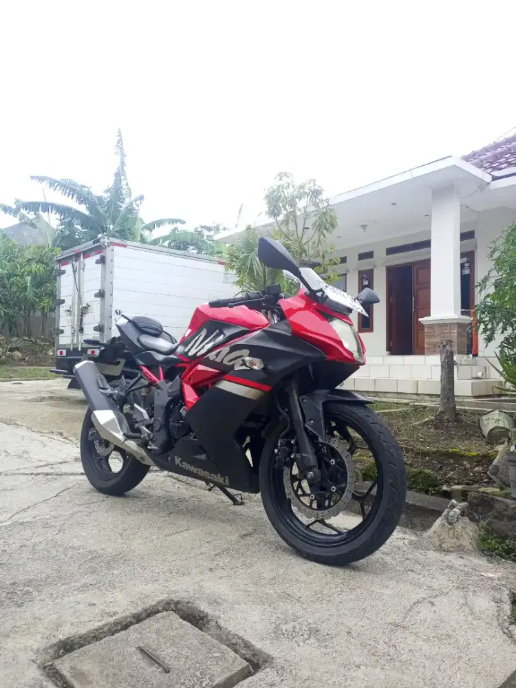 2019 Kawasaki ninja 250