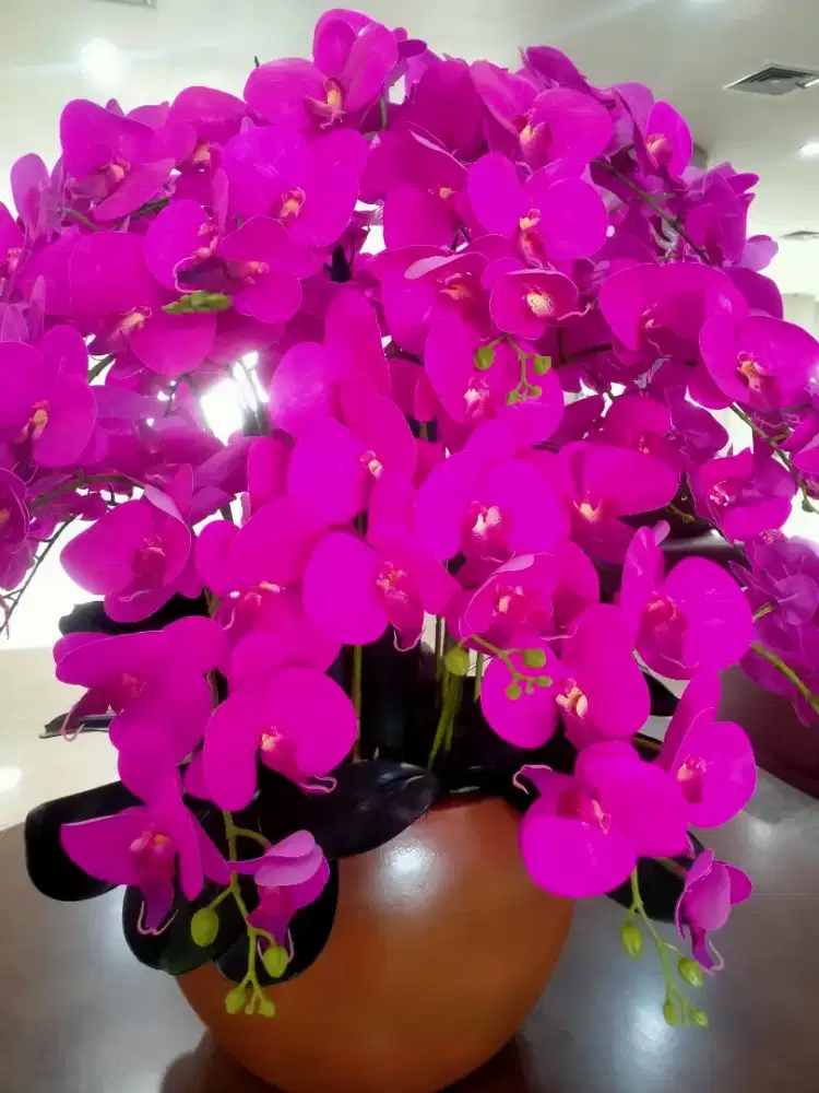 Cari kerjaan bersih bersih paruh waktu/freelance