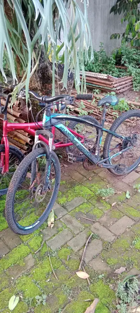Sepeda gunung & bmx bekas