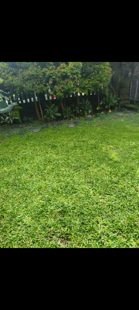 Dijual tanah murah,6 are di sanur jln d tamblingan