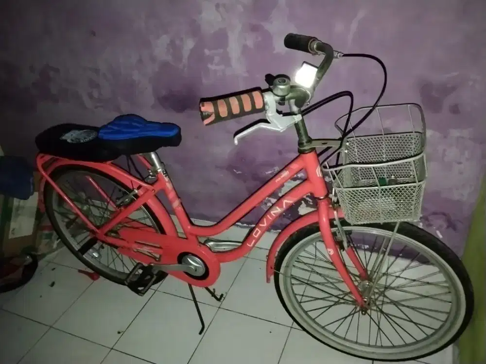 Sepeda Polygon Lovina 24